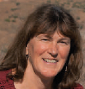 Dr.in Monika Steinmaurer