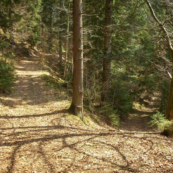 Scheideweg