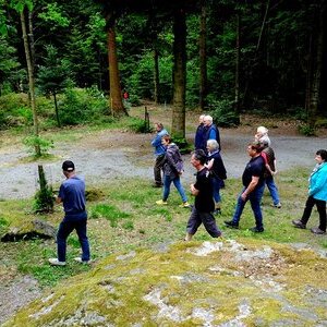 Waldbegehung