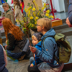 Palmsonntag / Foto Haijes Palmsonntag Pfarre Kirchdorf an der Krems